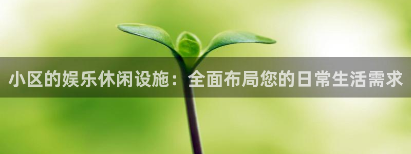 高德娱乐：小区的娱乐休闲设施：全面布局您的日常生活需求