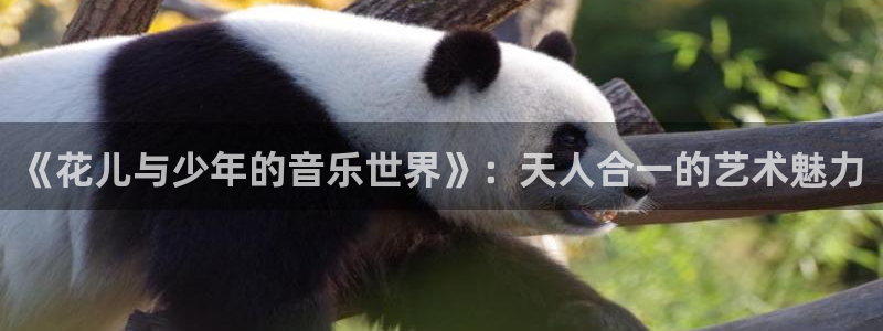 高德娱乐：《花儿与少年的音乐世界》：天人合一的艺术魅力