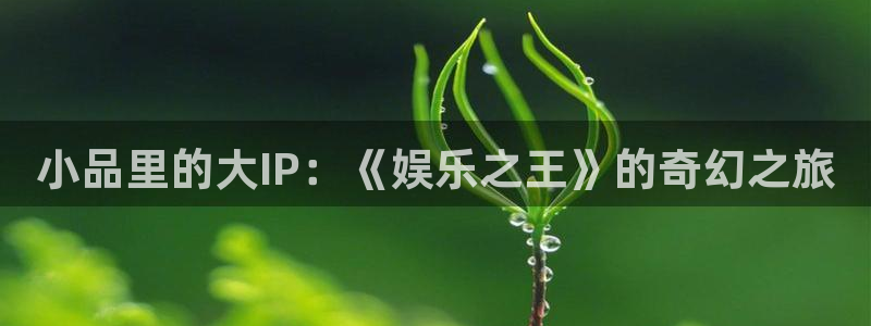 高德娱乐：小品里的大IP：《娱乐之王》的奇幻之旅