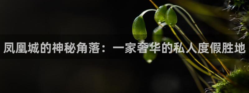 高德娱乐：凤凰城的神秘角落：一家奢华的私人度假胜地