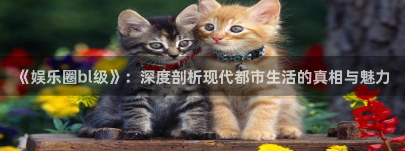 高德娱乐：《娱乐圈bl级》：深度剖析现代都市生活的真相与魅力