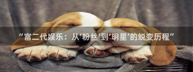 高德娱乐：“富二代娱乐：从‘粉丝’到‘明星’的蜕变历程”