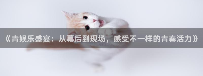 高德娱乐：《青娱乐盛宴：从幕后到现场，感受不一样的青春活力》