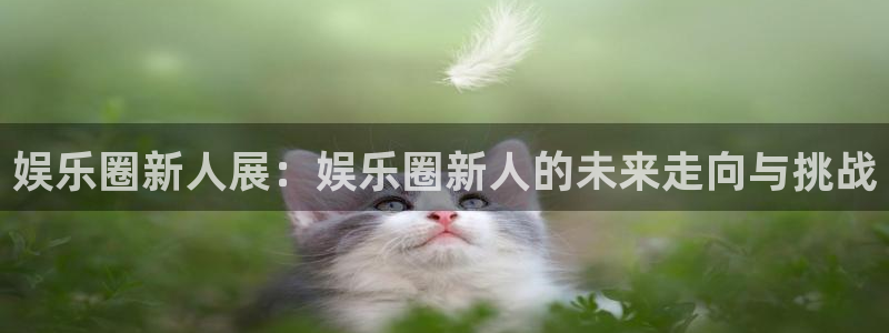 高德娱乐：娱乐圈新人展：娱乐圈新人的未来走向与挑战