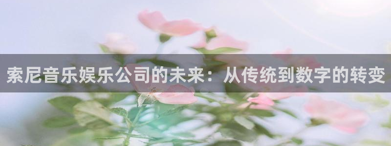 高德娱乐：索尼音乐娱乐公司的未来：从传统到数字的转变