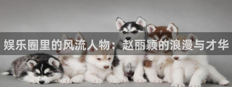 高德娱乐：娱乐圈里的风流人物：赵丽颖的浪漫与才华