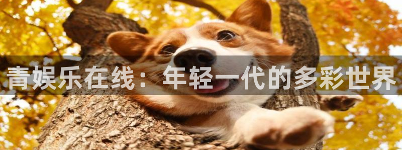 高德娱乐：青娱乐在线：年轻一代的多彩世界
